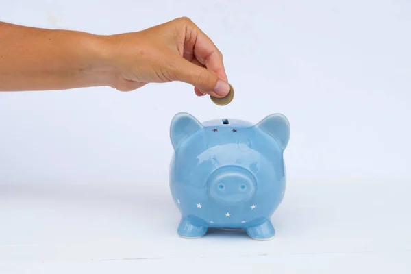 Банк свиней, концепция сбережений — стоковое фото