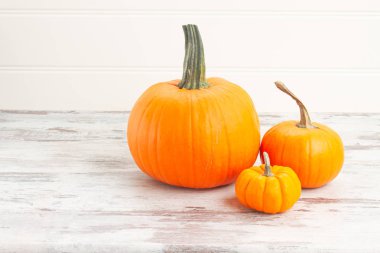 tablo üzerinde kabaklar