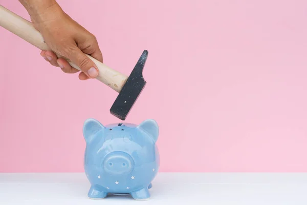 Piggy bank, megtakarítás fogalma — Stock Fotó