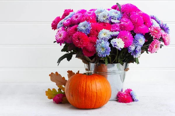 Kasımpatı çiçekleri Güz