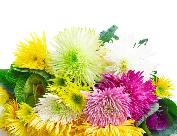 Bouquet de fleurs Chrisantemum — Photo