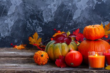 Kabak hasat sonbahar