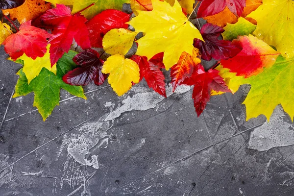Природні восени листя — стокове фото