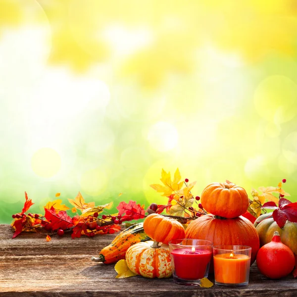 Herfst oogst van pompoenen — Stockfoto