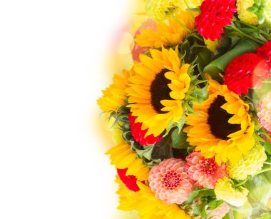 Dahlia ve ayçiçekleri