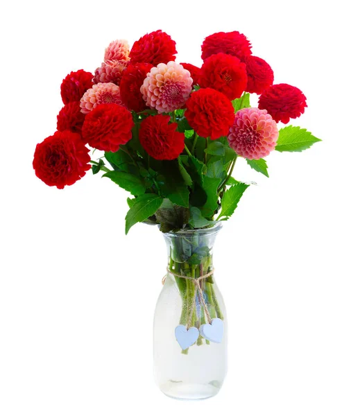 Букет цветов Далии — стоковое фото