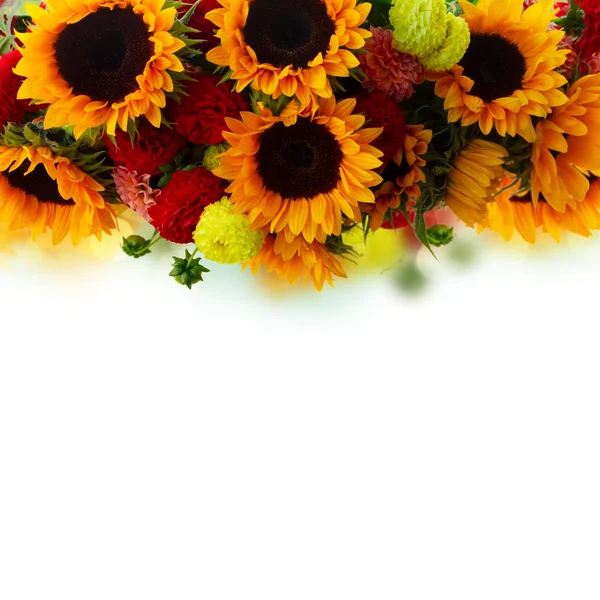 Dahlia and sunflowers — Stock Photo, Image