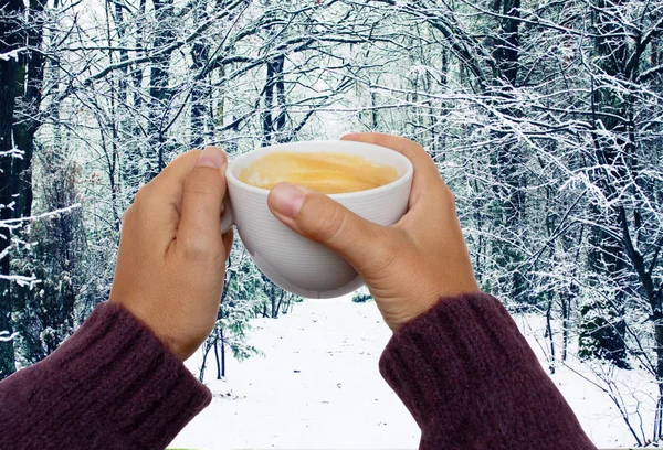 Руки з зимовою кавою — стокове фото