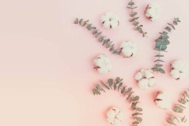 Eucaliptus çiçeklerle pamuk