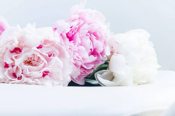 Fond floral rose — Photo
