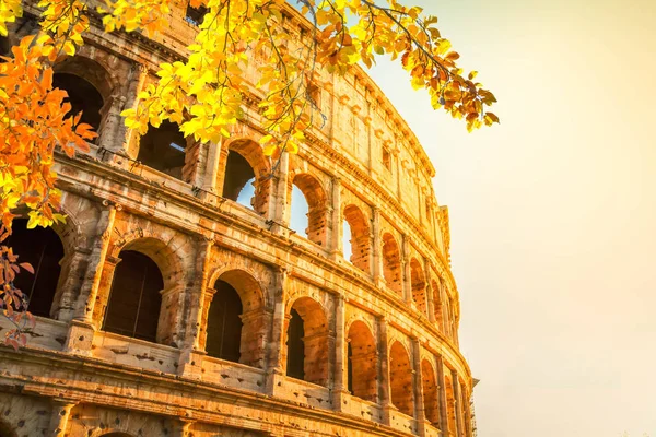 Colosseum at sunset in Rome, Italy — Stock Photo, Image