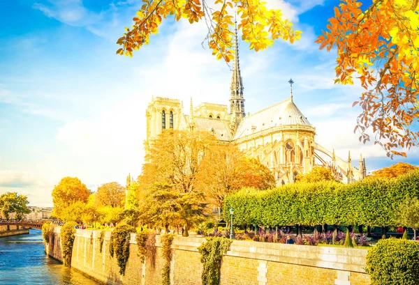 Notre Dame Katedrali, Paris Fransa — Stok fotoğraf