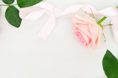 taze gül çiçekleri