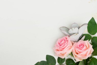 taze gül çiçekleri