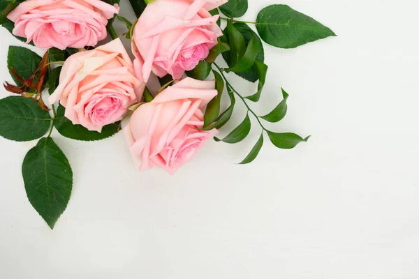 Frische Rosenblüten — Stockfoto