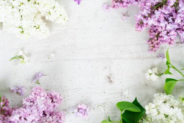 Taze leylak çiçekleri