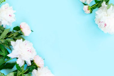 Taze şakayık çiçekleri