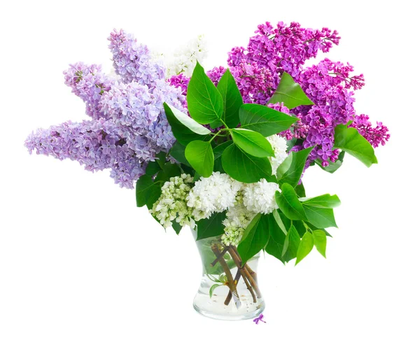 Fresh lilac flowers — Stock Photo, Image