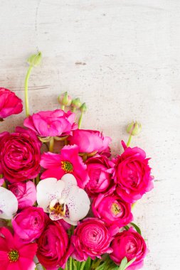 Çiçeklerin düz konumu