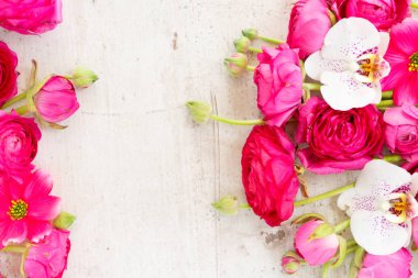 Çiçeklerin düz konumu