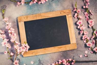 Pembe kiraz çiçeği.