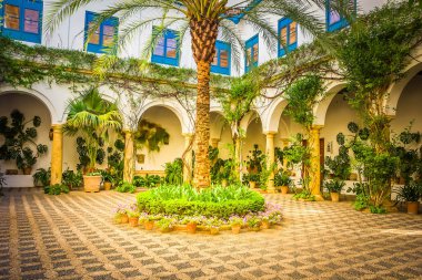 Courtyard tipik bir ev Cordoba, İspanya