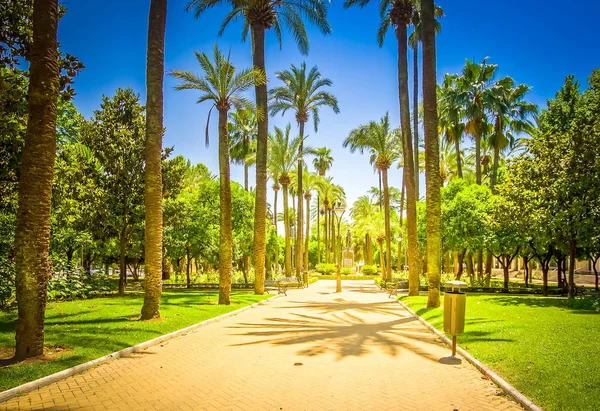 Jardines de la Victoria, Cordoba Spain — Stockfoto