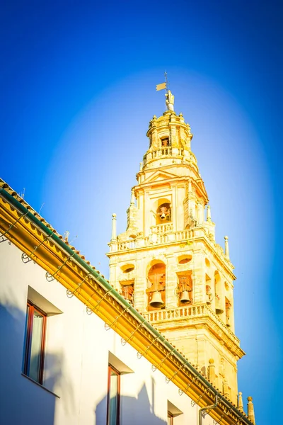 Bell tower of cathedral,  Cordoba, Spain — Stock Photo, Image