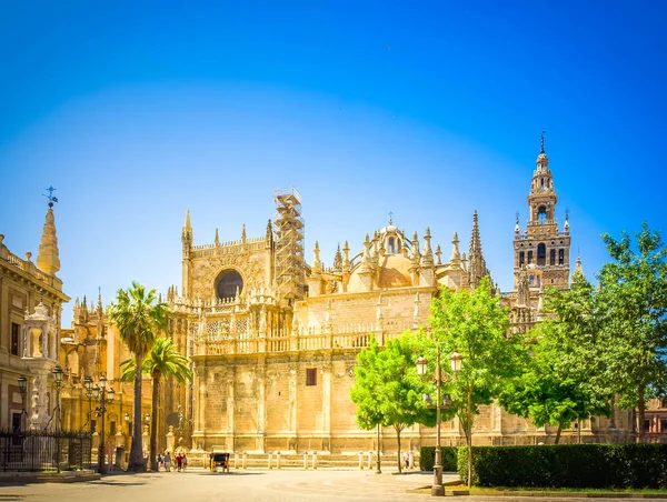 Kathedraal kerk van Sevilla, Spanje — Stockfoto