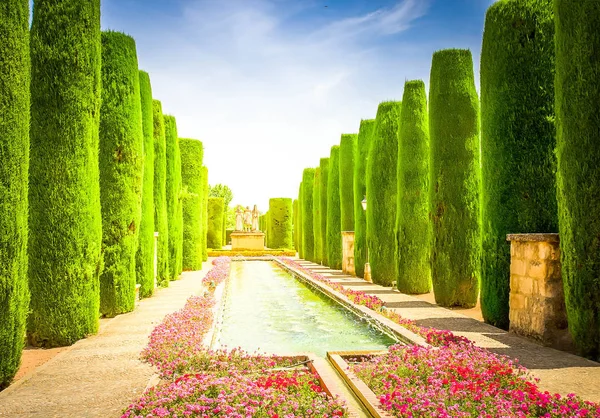Trädgårdar på alcazar i cordoba, Spanien — Stockfoto