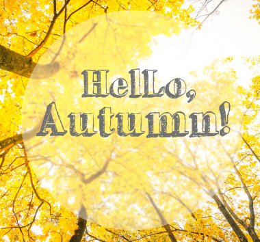 Titrek sonbahar yaprakları