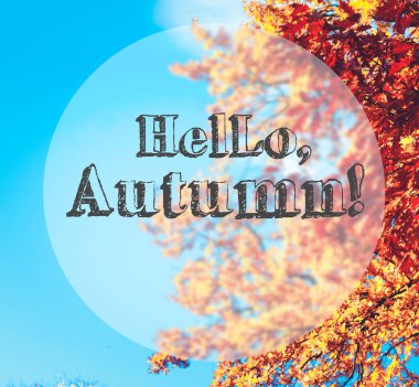 Titrek sonbahar yaprakları