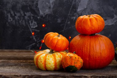 Kabak hasat sonbahar