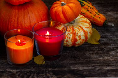 Kabak hasat sonbahar