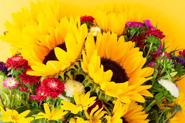 Asters and sunflowers — Stock Photo, Image