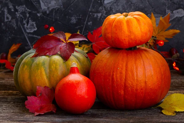 Herfst oogst van pompoenen — Stockfoto