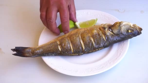 Fresh sea fish preparation — Stock Video