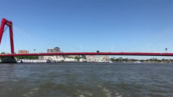 Rotterdam skyline, Netherlands — Stock Video
