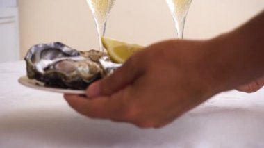 Taze çiğ istiridye.