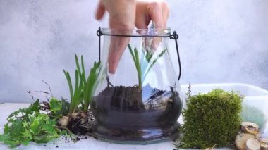 Bahçe mason kavanoz içinde