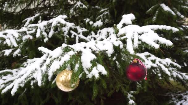 Weihnachtsdekoration im Schnee — Stockvideo