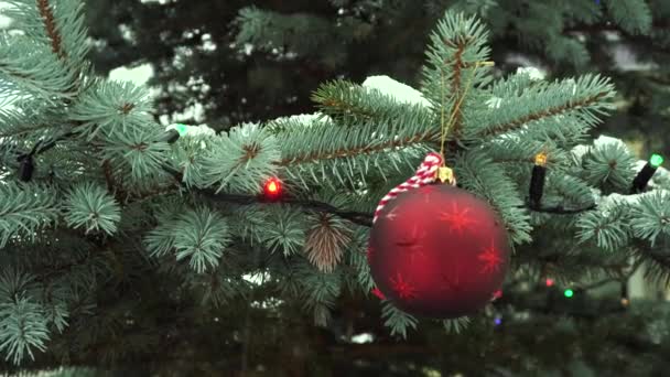 Decoraciones navideñas en nieve — Vídeos de Stock