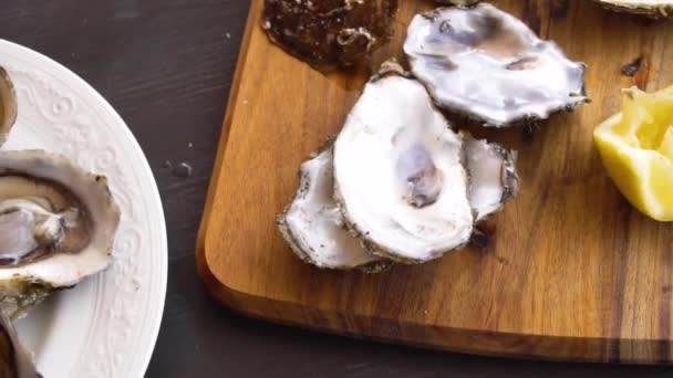 Fresh raw oysters — Stock Video