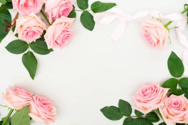 taze gül çiçekleri