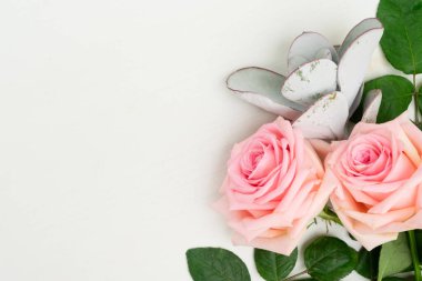 taze gül çiçekleri