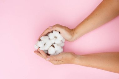 Ham pamuk tomurcukları holding eller