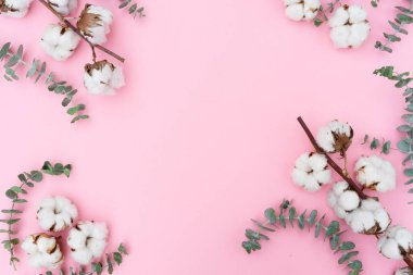 Eucaliptus çiçeklerle pamuk