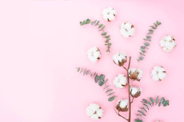 Eucaliptus çiçeklerle pamuk