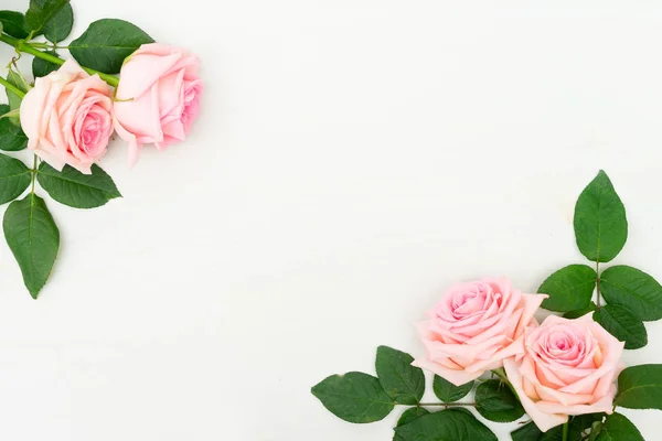 Fleurs roses fraîches — Photo