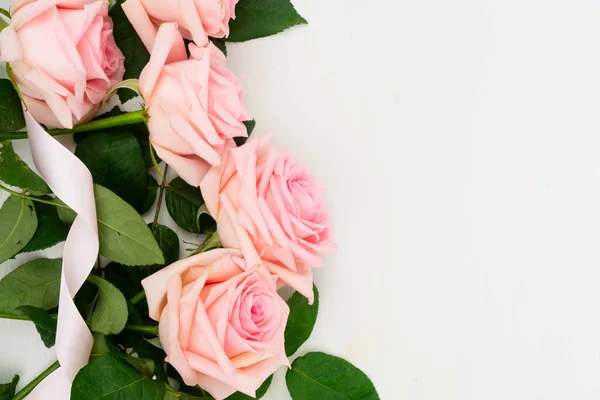 Fresh rose flowers — Stock Photo, Image